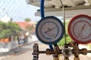 WhatsApp Image 2026-01-13 at 17.15.07