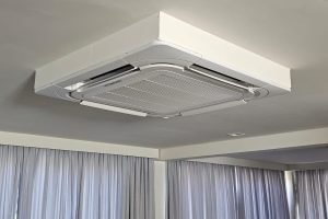 WhatsApp Image 2026-01-13 at 17.15.09