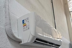 WhatsApp Image 2026-01-13 at 17.15.10 (1)